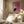 Tablou înramat „It's All Love Hand Pink” de Frances Collett