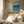Tablou înramat „Sea Swim” de longwayhome