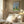 Tablou înramat „New York, Central Park” de longwayhome