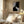 Tablou înramat „Night” de Dan Hobday