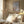 Tablou înramat „Creamy-1” de Sally Ann Moss