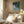 Tablou înramat „Lisbon” de Pauline Wegman | Key and Sea Creative