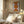 Tablou înramat „Retro Sun Circles” de THE MIUUS STUDIO