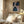 Tablou înramat „Fabulously Navy -1” de Sally Ann Moss