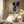 Tablou înramat „Fabulously  Navy -2” de Sally Ann Moss