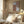 Tablou înramat „Earth Tone Painting” de Melloi Art Prints