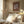 Tablou înramat „Moon Phase No.3” de Melloi Art Prints