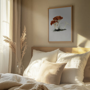 Tablou înramat „Hand Drawn Rufous Milkcap Mushroom” de Biodiversity Heritage Library