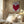 Tablou înramat „Heart's Whisper” de Athene Fritsch