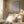 Tablou înramat „Essentials of Caring” de Athene Fritsch