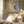 Tablou înramat „Dramatic Dreams-2” de Sally Ann Moss