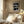 Tablou înramat „1067 2x3ratio” de Melloi Art Prints