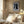 Tablou înramat „Abstract Brush Strokes 12 300dpi” de Mareike Böhmer