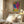 Tablou înramat „Matisse inspired cut out” de Ana Rut Bre