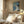 Tablou înramat „Mid Century Pastel 17” de Ana Rut Bre