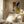 Tablou înramat „Mid Century Pastel 11” de Ana Rut Bre