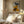 Tablou înramat „Matisse Cut Outs3” de Ana Rut Bre