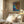 Tablou înramat „Abstract Color Palette” de Dorothy Fagan