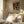 Tablou înramat „Bauhaus Abstract Color Block” de Little Dean