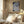 Tablou înramat „Paper Sculpture Abstract” de Little Dean