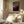 Tablou înramat „Dynamic Emotions Through Vibrant Color” de Little Dean