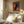 Tablou înramat „Abstract Blaze Script” de Little Dean
