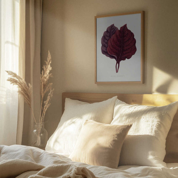 Tablou înramat „Pink Amarantus Leaf Illustration” de Les Plantes a Feuillage Colore