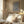 Tablou înramat „Home Set No3” de Dan Hobday