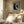 Tablou înramat „Abstract Brush Strokes 108X” de Mareike Böhmer