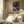 Tablou înramat „Abstract Brush Strokes 127X” de Mareike Böhmer