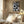 Tablou înramat „Sounds of Surprise – Boah” de Sarah Bühler