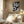Tablou înramat „Sounds of Surprise – Wow” de Sarah Bühler