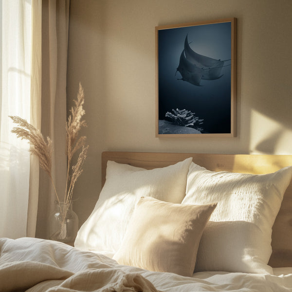 Tablou înramat „Sonata” de Andrey Narchuk