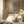 Tablou înramat „Dreamy Pastel Hues” de Dorothy Fagan