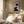 Tablou înramat „Collage 06” de Pictufy Studio