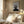 Tablou înramat „Collage 07” de Pictufy Studio