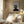 Tablou înramat „Collage 08” de Pictufy Studio