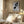 Tablou înramat „Cat Lover” de Pictufy Studio II