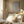 Tablou înramat „Pampas Grass Grey 02” de Pictufy Studio III