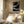 Tablou înramat „negatives_006_tapestry” de Pictufy Studio II
