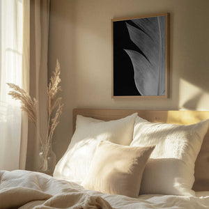 Tablou înramat „Feather_005” de Pictufy Studio III