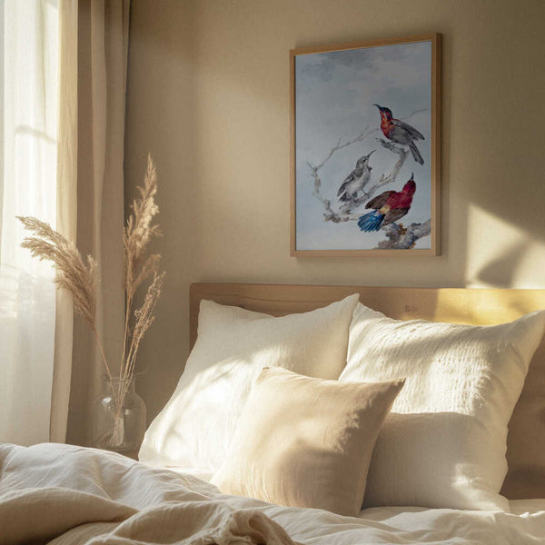 Tablou înramat „Three Crimson Sunbirds” de Aert Schouman