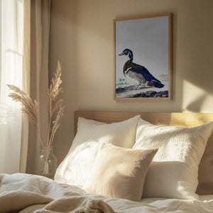 Tablou înramat „A Duck” de Aert Schouman