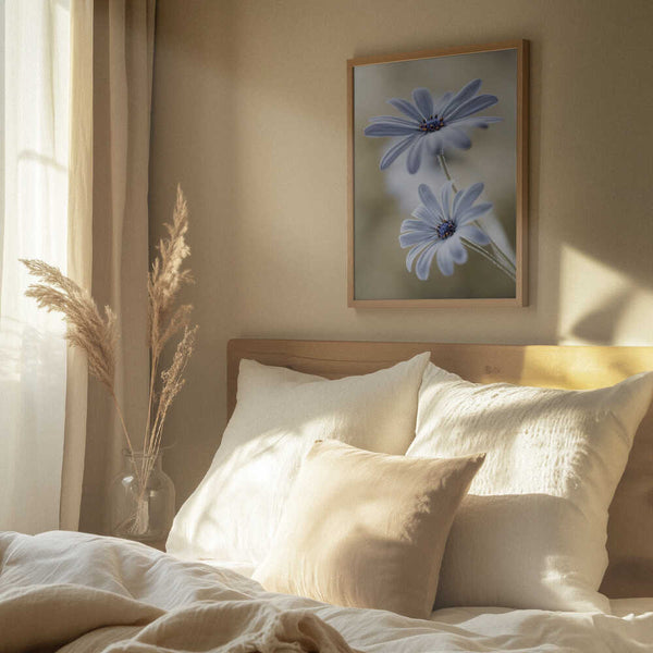 Tablou înramat „Cape daisies” de Mandy Disher