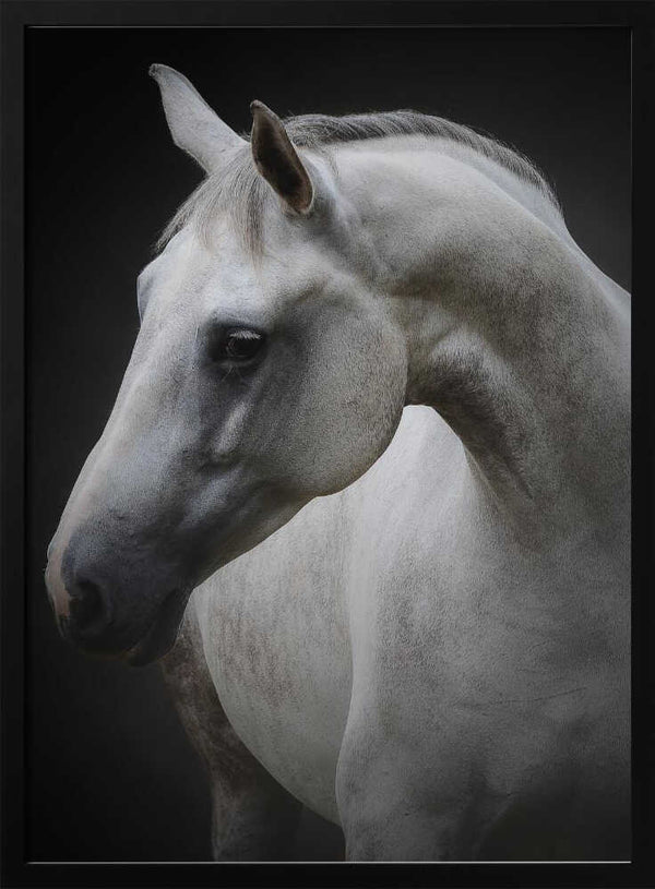 Tablou înramat „Maggie” de Avishai Avivi