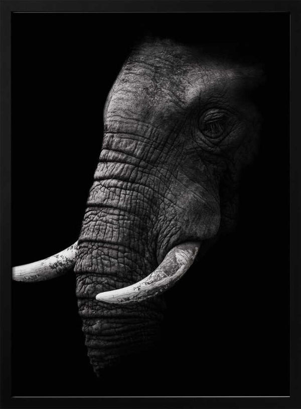 Tablou înramat „Portrait” de WildPhotoArt