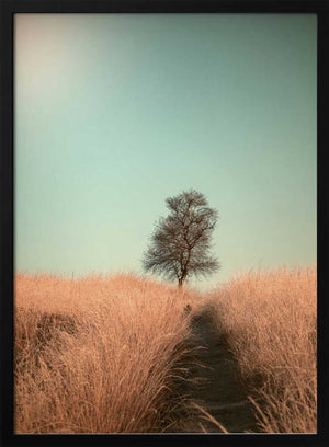 Tablou înramat „Grass and Path” de Jaap van den Helm