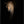 Tablou înramat „Out of the darkness” de Richard Guijt
