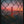 Tablou înramat „Golden Gate Caged” de David George