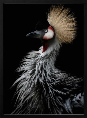Tablou înramat „Crowned crane's portrait” de Eiji Itoyama